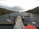 ./images/calvert/dock/20180510/dock20180510_074502.jpg