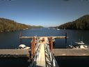 ./images/calvert/dock/20180515/dock20180515_160501.jpg