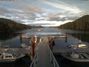 ./images/calvert/dock/20180520/dock20180520_193004.jpg