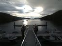 ./images/calvert/dock/20180521/dock20180521_073504.jpg