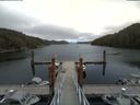 ./images/calvert/dock/20180523/dock20180523_154502.jpg