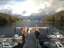./images/calvert/dock/20180525/dock20180525_184502.jpg