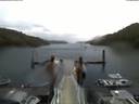 ./images/calvert/dock/20180527/dock20180527_052501.jpg