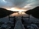 ./images/calvert/dock/20180529/dock20180529_054002.jpg