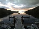 ./images/calvert/dock/20180529/dock20180529_055003.jpg