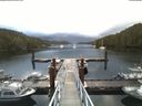 ./images/calvert/dock/20180604/dock20180604_072504.jpg