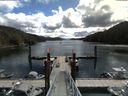 ./images/calvert/dock/20180604/dock20180604_112504.jpg