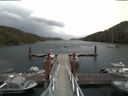 ./images/calvert/dock/20180605/dock20180605_153004.jpg