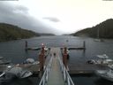 ./images/calvert/dock/20180605/dock20180605_155504.jpg