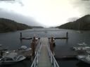 ./images/calvert/dock/20180605/dock20180605_160504.jpg