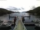 ./images/calvert/dock/20180606/dock20180606_051004.jpg
