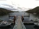 ./images/calvert/dock/20180606/dock20180606_055501.jpg