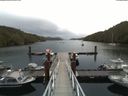 ./images/calvert/dock/20180606/dock20180606_062504.jpg