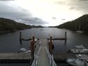 ./images/calvert/dock/20180606/dock20180606_134501.jpg