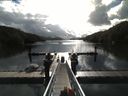 ./images/calvert/dock/20180609/dock20180609_091002.jpg