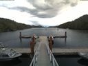 ./images/calvert/dock/20180612/dock20180612_144503.jpg