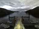 ./images/calvert/dock/20180613/dock20180613_045003.jpg