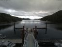 ./images/calvert/dock/20180613/dock20180613_091004.jpg