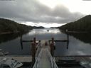 ./images/calvert/dock/20180613/dock20180613_092003.jpg