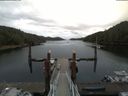 ./images/calvert/dock/20180614/dock20180614_083002.jpg