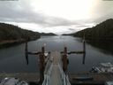 ./images/calvert/dock/20180614/dock20180614_083502.jpg