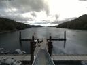 ./images/calvert/dock/20180615/dock20180615_103504.jpg
