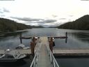 ./images/calvert/dock/20180624/dock20180624_125502.jpg