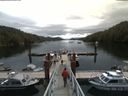 ./images/calvert/dock/20180626/dock20180626_113004.jpg