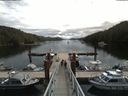 ./images/calvert/dock/20180626/dock20180626_114002.jpg