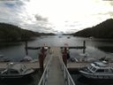 ./images/calvert/dock/20180626/dock20180626_115504.jpg
