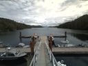 ./images/calvert/dock/20180626/dock20180626_133503.jpg