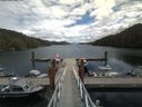 ./images/calvert/dock/20180626/dock20180626_140004.jpg