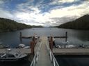 ./images/calvert/dock/20180626/dock20180626_145004.jpg