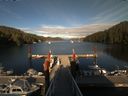 ./images/calvert/dock/20180626/dock20180626_190504.jpg