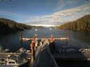 ./images/calvert/dock/20180626/dock20180626_193504.jpg