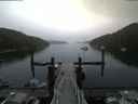 ./images/calvert/dock/20180629/dock20180629_081504.jpg
