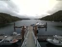 ./images/calvert/dock/20180629/dock20180629_124002.jpg