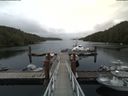 ./images/calvert/dock/20180629/dock20180629_131004.jpg