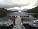 ./images/calvert/dock/20180629/dock20180629_172004.jpg