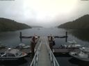 ./images/calvert/dock/20180630/dock20180630_170504.jpg