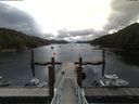 ./images/calvert/dock/20180701/dock20180701_103002.jpg