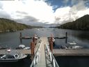 ./images/calvert/dock/20180701/dock20180701_143504.jpg