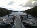 ./images/calvert/dock/20180702/dock20180702_053004.jpg