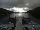 ./images/calvert/dock/20180702/dock20180702_084004.jpg