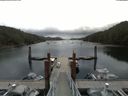 ./images/calvert/dock/20180702/dock20180702_100502.jpg