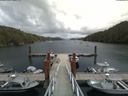 ./images/calvert/dock/20180702/dock20180702_141002.jpg