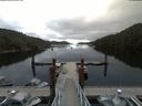./images/calvert/dock/20180703/dock20180703_095003.jpg