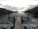 ./images/calvert/dock/20180703/dock20180703_101004.jpg