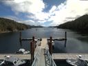 ./images/calvert/dock/20180703/dock20180703_122503.jpg