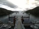 ./images/calvert/dock/20180706/dock20180706_133004.jpg